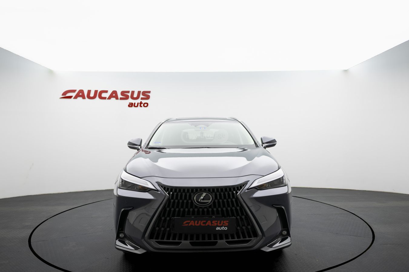 Lexus NX 200 Lexus NX 2025 — миниатюра 2