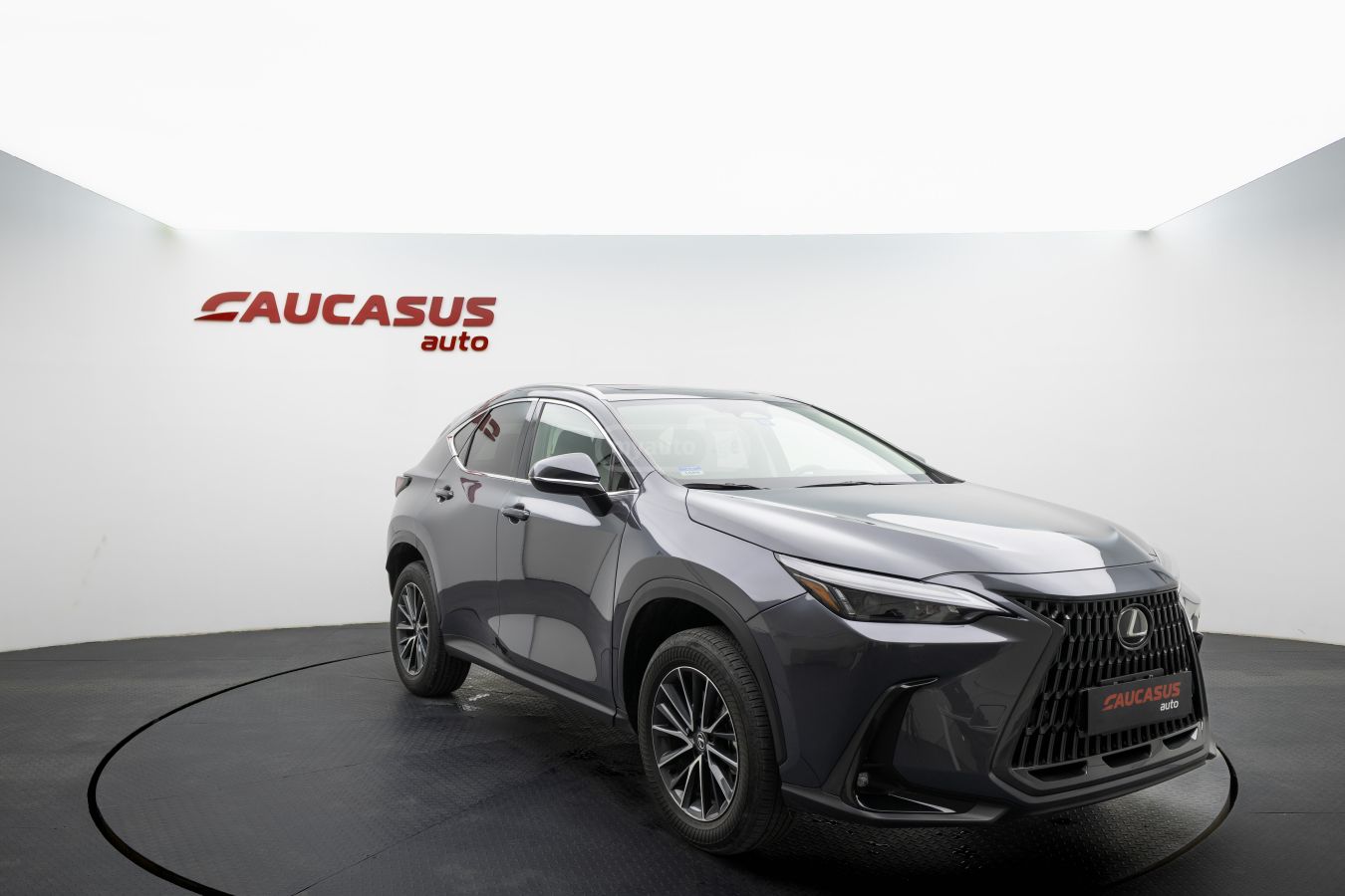 Lexus NX 200 Lexus NX 2025 — миниатюра 3
