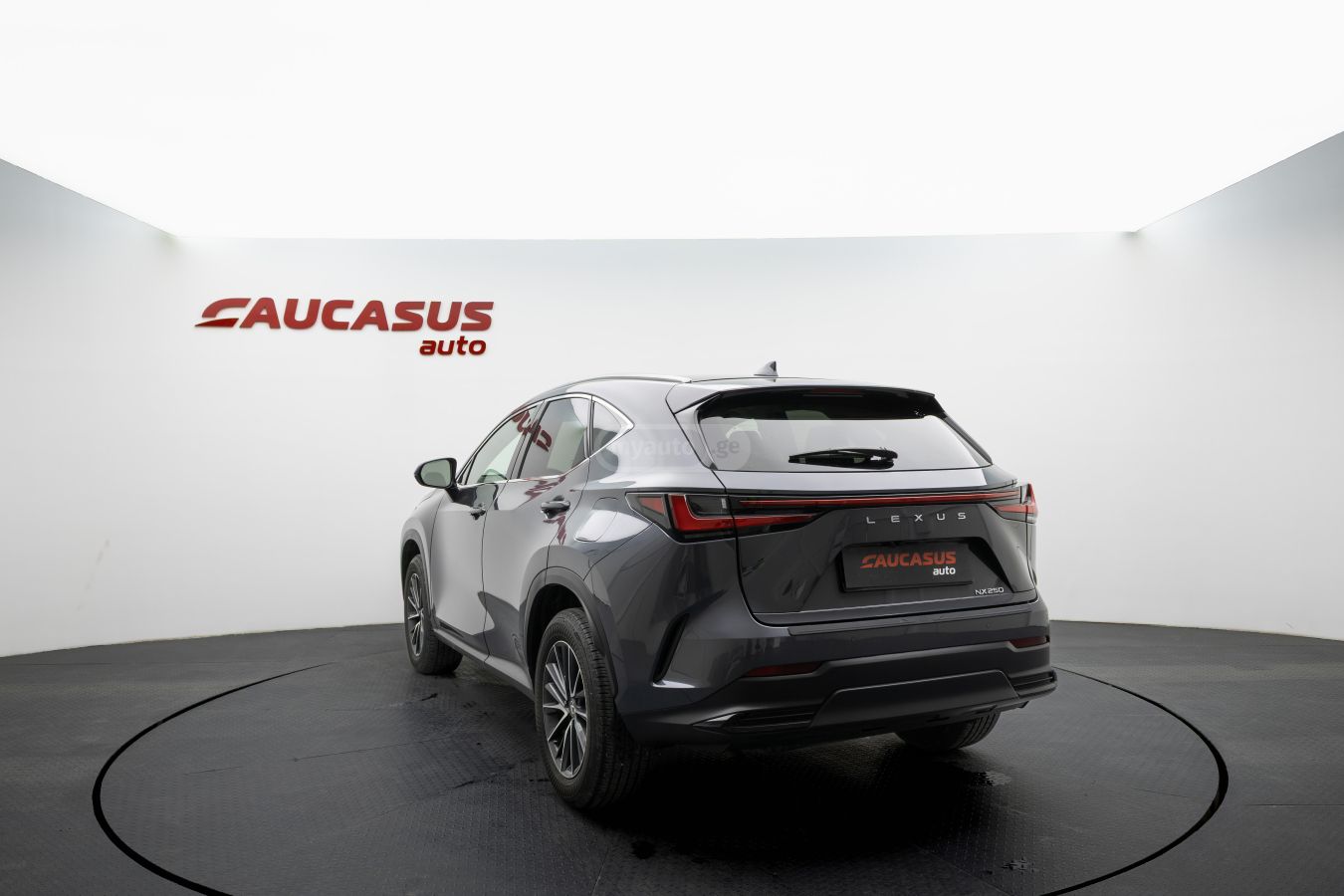 Lexus NX 200 Lexus NX 2025 — миниатюра 6