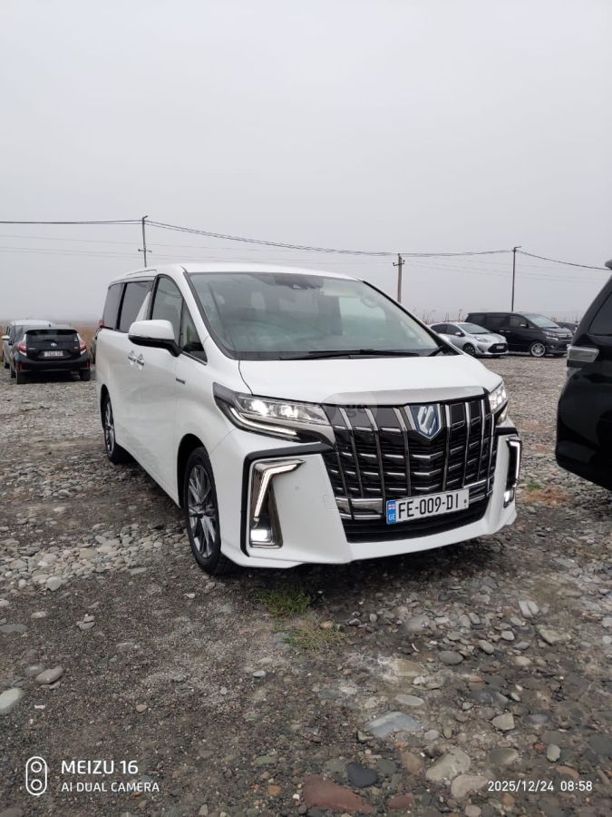 Toyota Alphard - фото 1