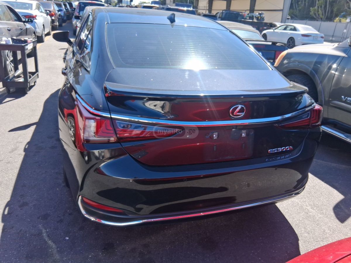 Lexus ES 300 - фото 4