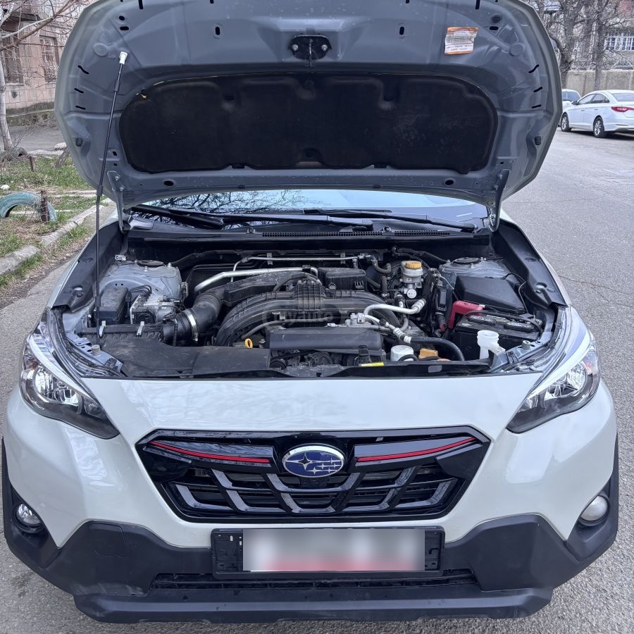 Subaru Crosstrek - фото 14