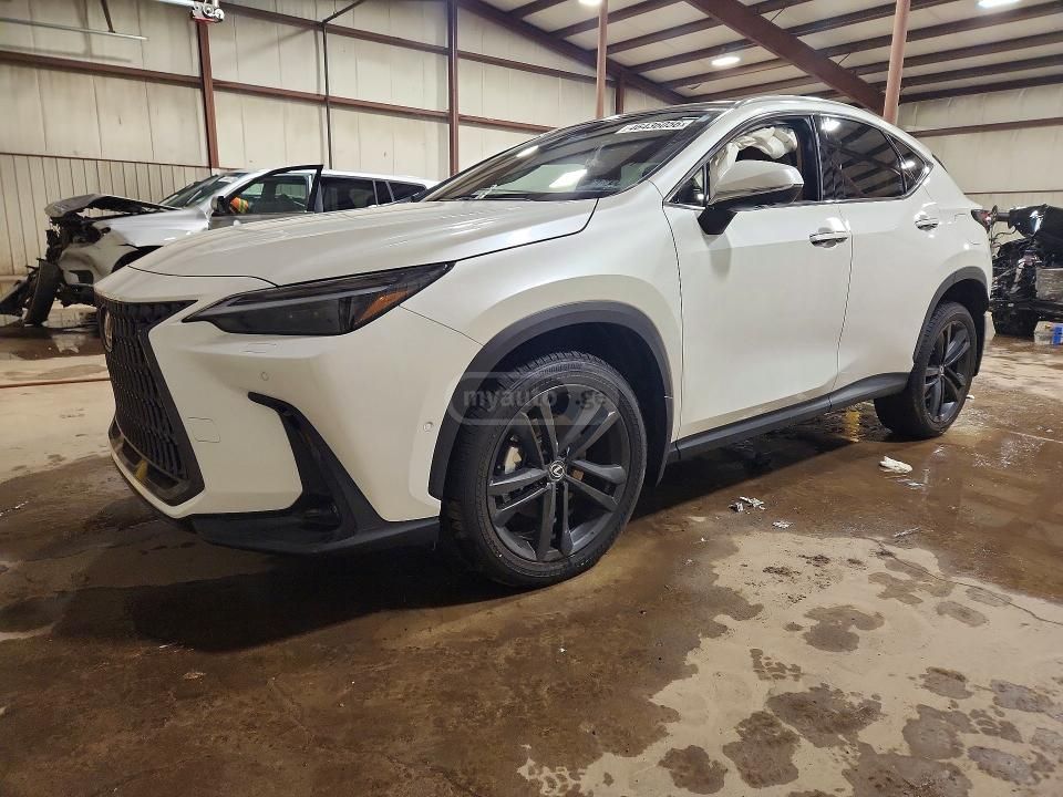 Lexus NX 450 2025 — миниатюра 2