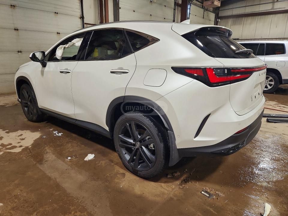 Lexus NX 450 2025 — миниатюра 4