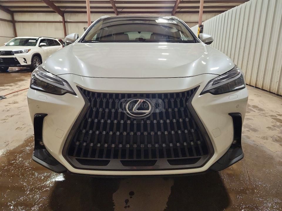 Lexus NX 450 2025 — миниатюра 7
