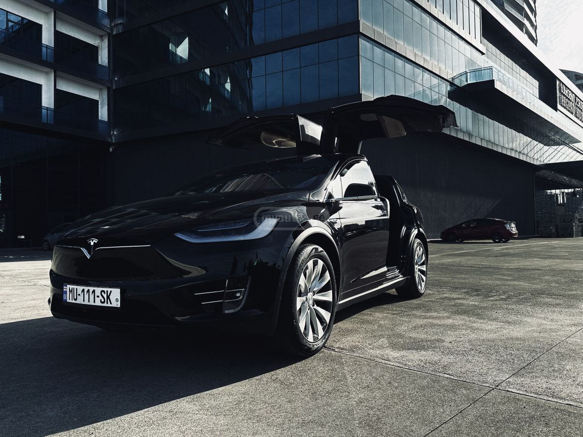 Tesla Long Range Plus — миниатюра 3