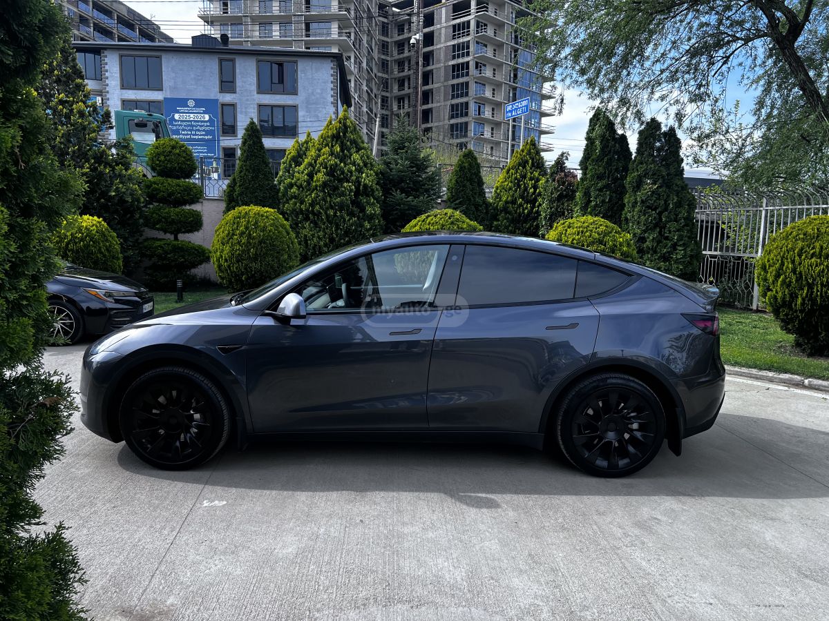 Tesla Model Y - фото 5