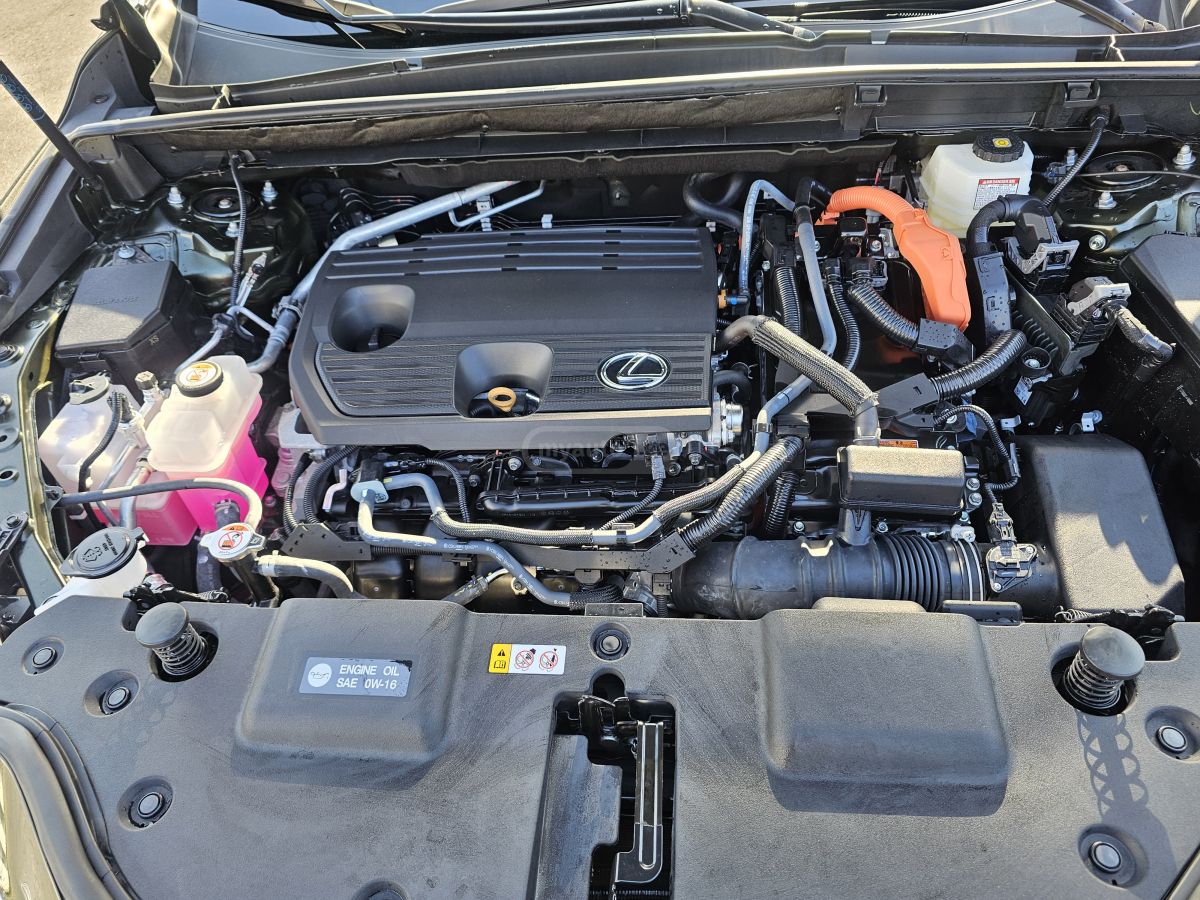 Lexus LEXUS NX350H — миниатюра 11