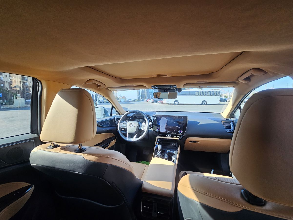 Lexus LEXUS NX350H — миниатюра 12