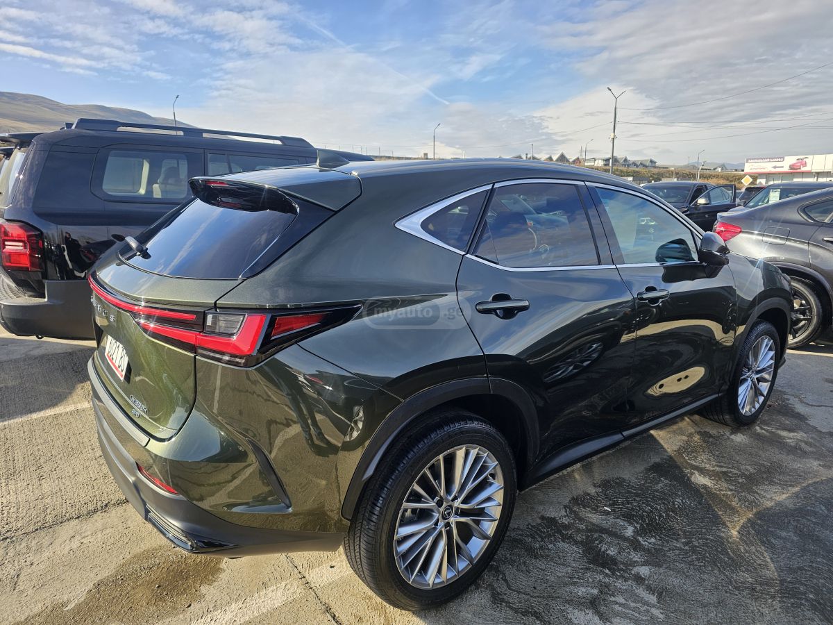 Lexus LEXUS NX350H — миниатюра 14