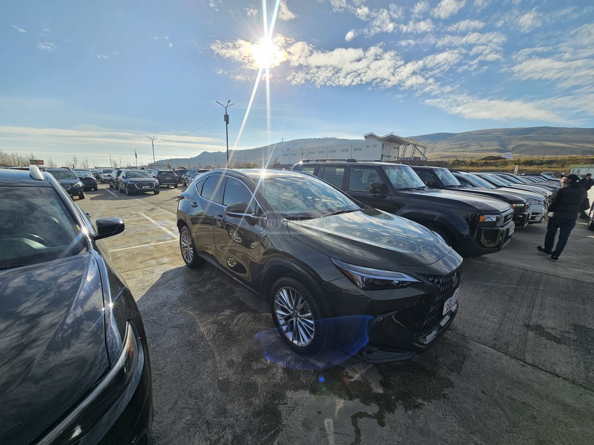 Lexus LEXUS NX350H — миниатюра 4