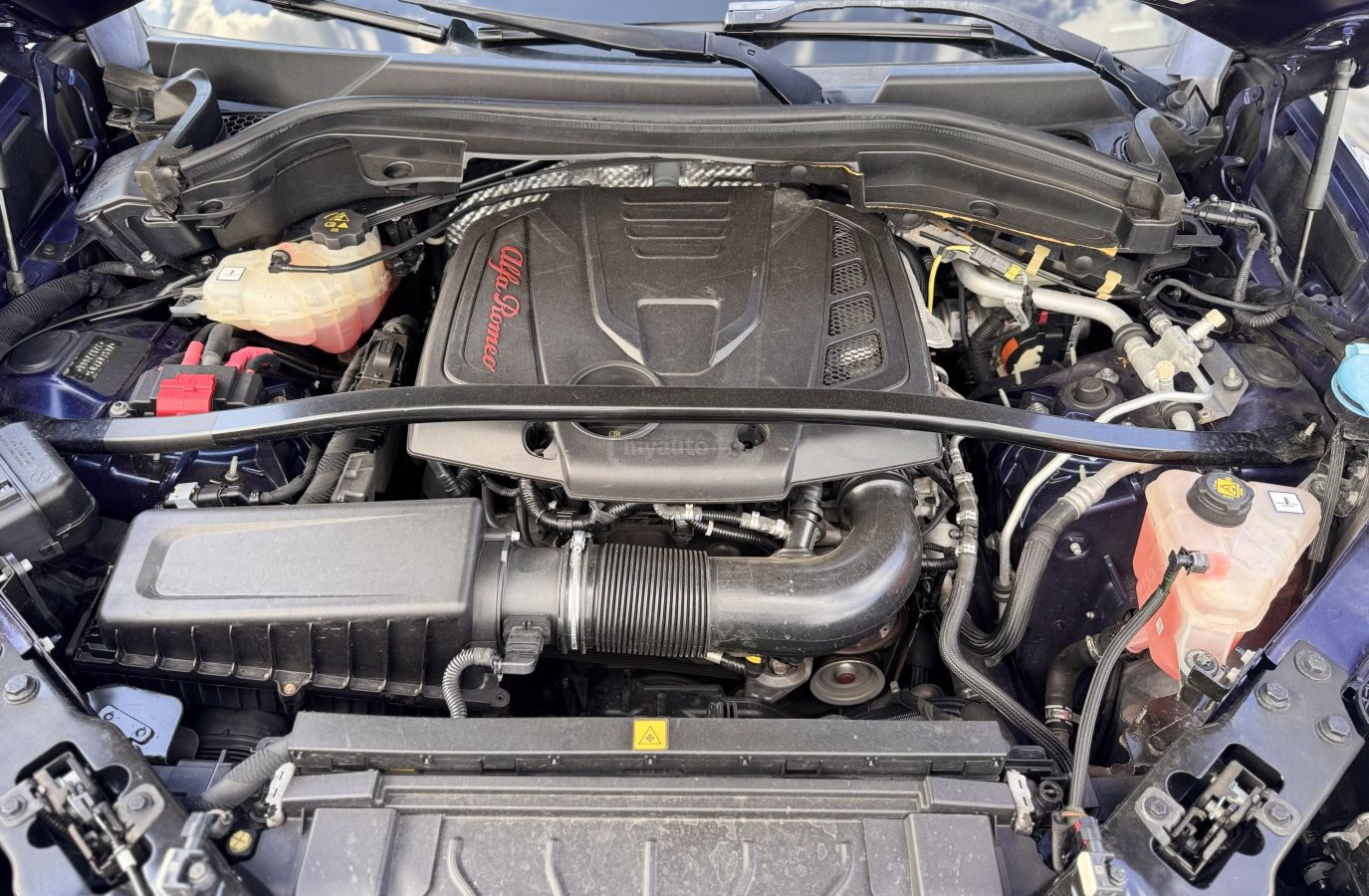 Alfa Romeo Stelvio - фото 13