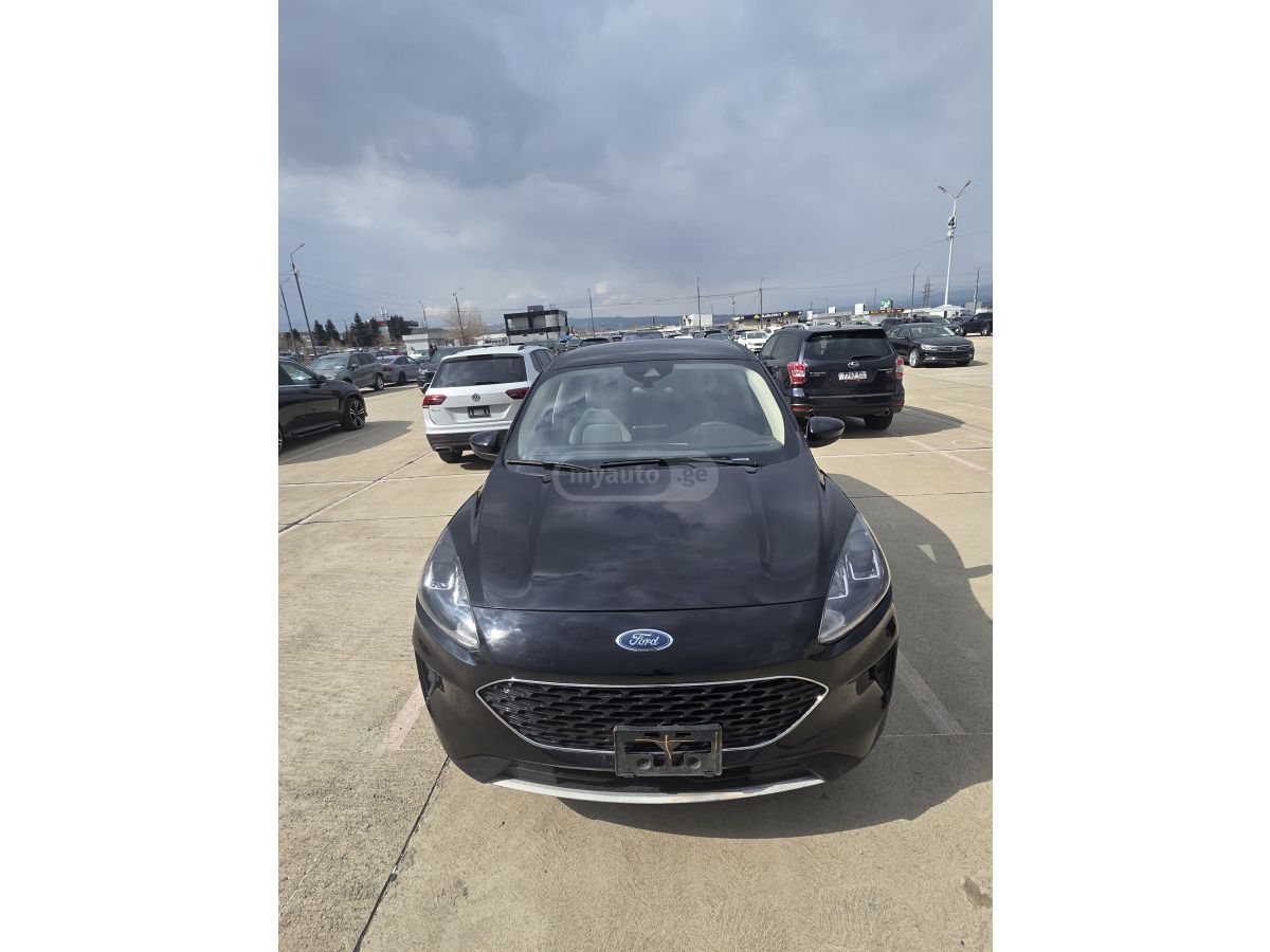 Ford Escape - фото 3