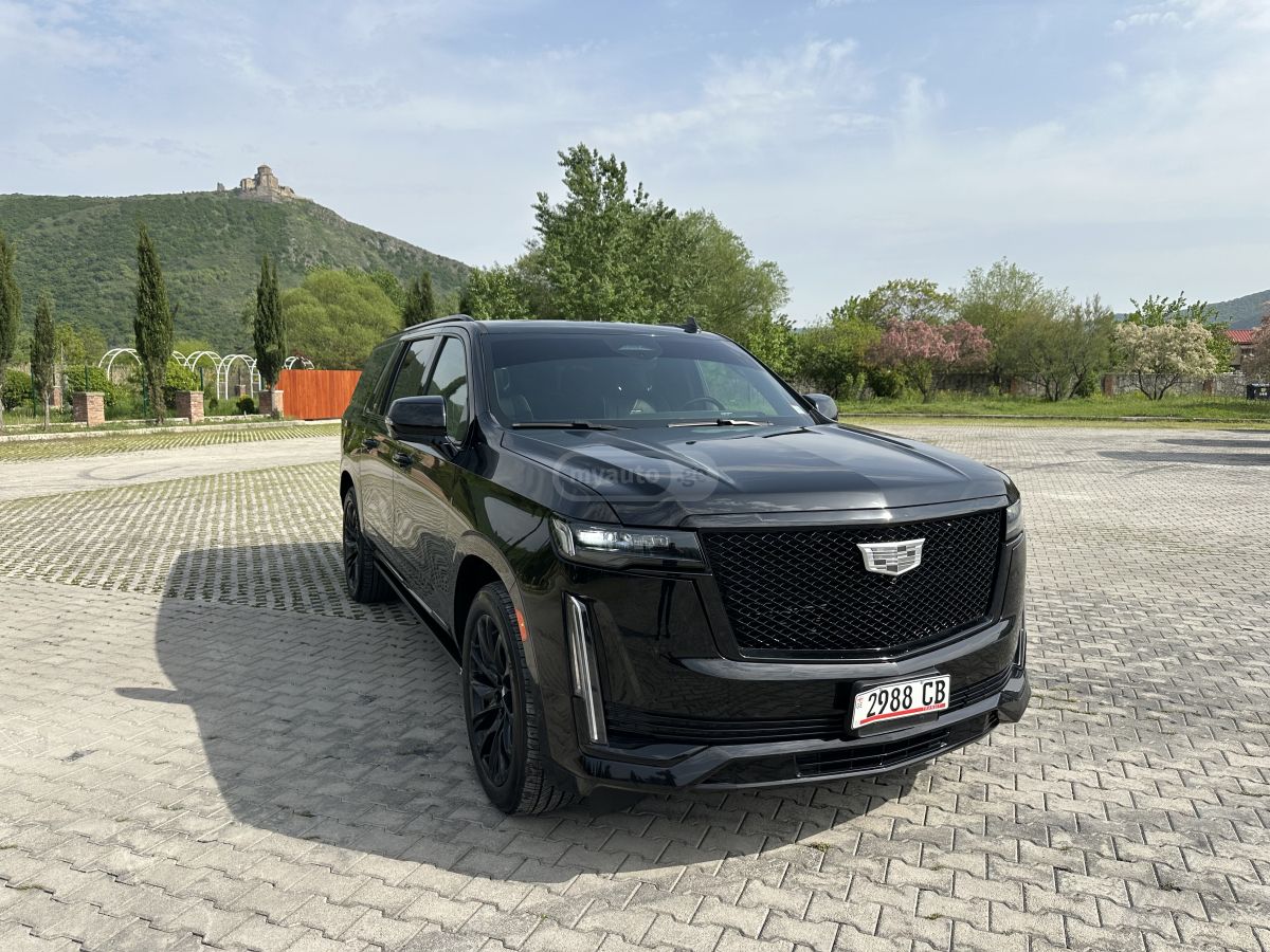 Cadillac ESV — миниатюра 11