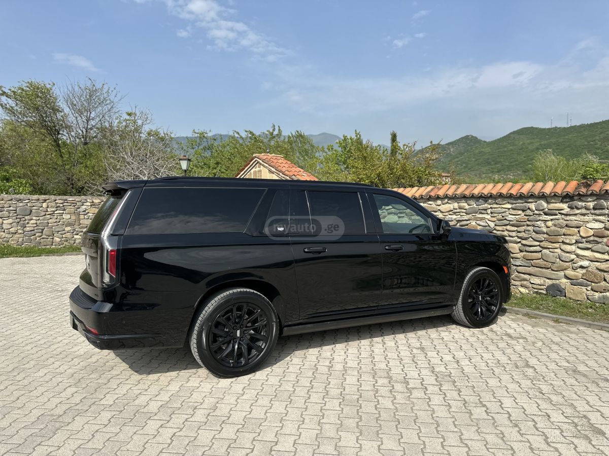 Cadillac ESV — миниатюра 14