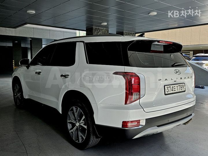 Hyundai Palisade - фото 4