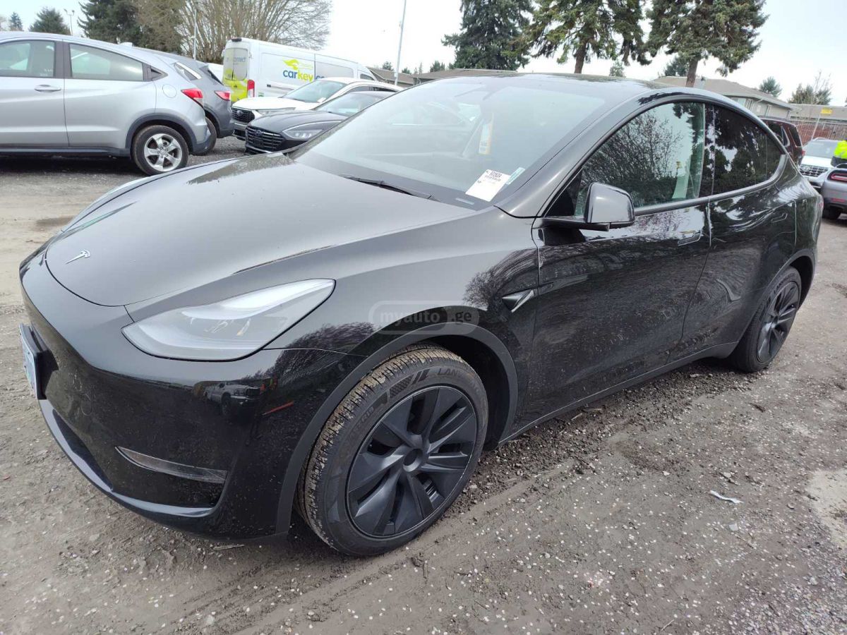 Tesla DUAL MOTOR LONG RANGE — миниатюра 1