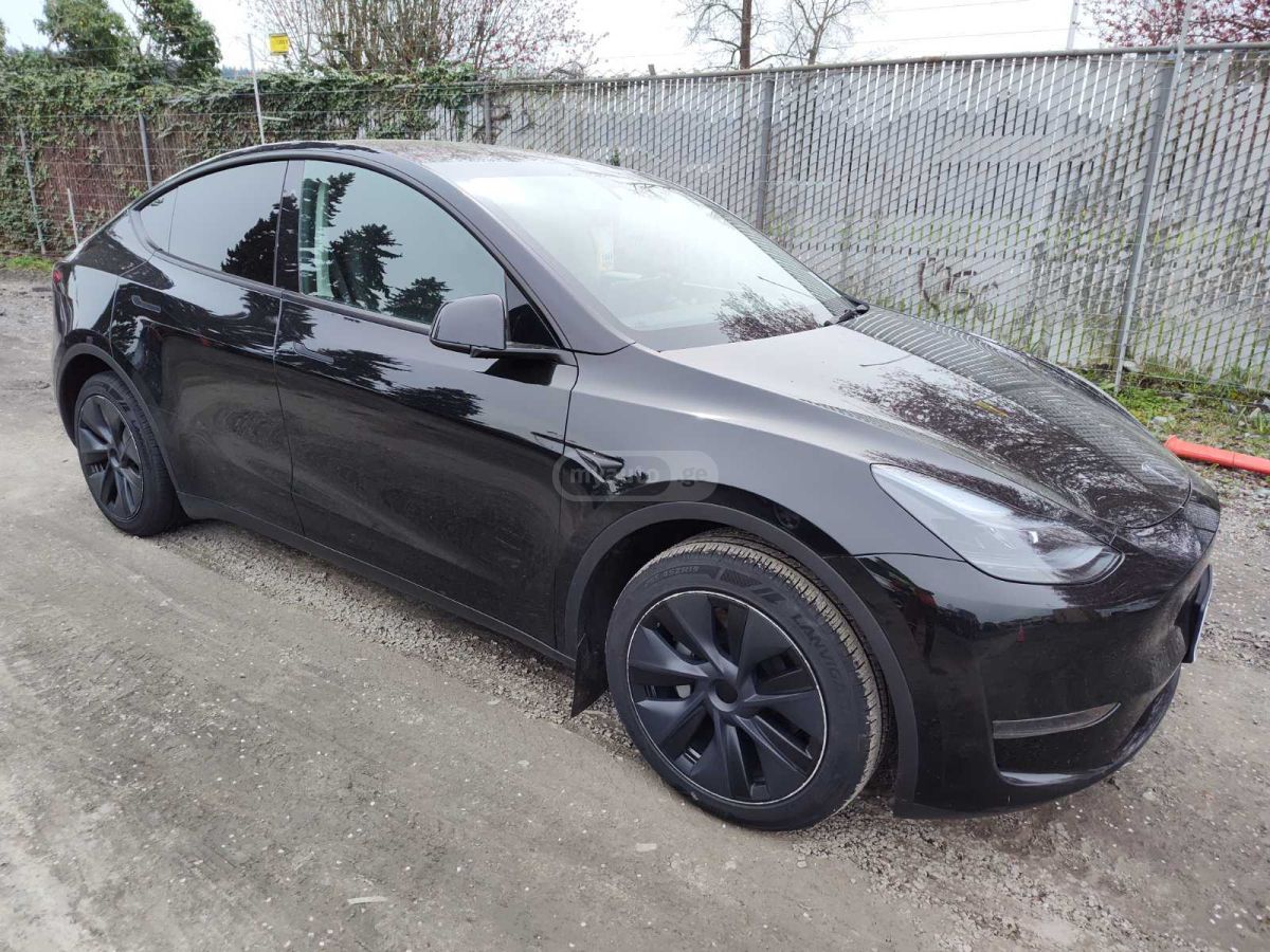 Tesla DUAL MOTOR LONG RANGE — миниатюра 2
