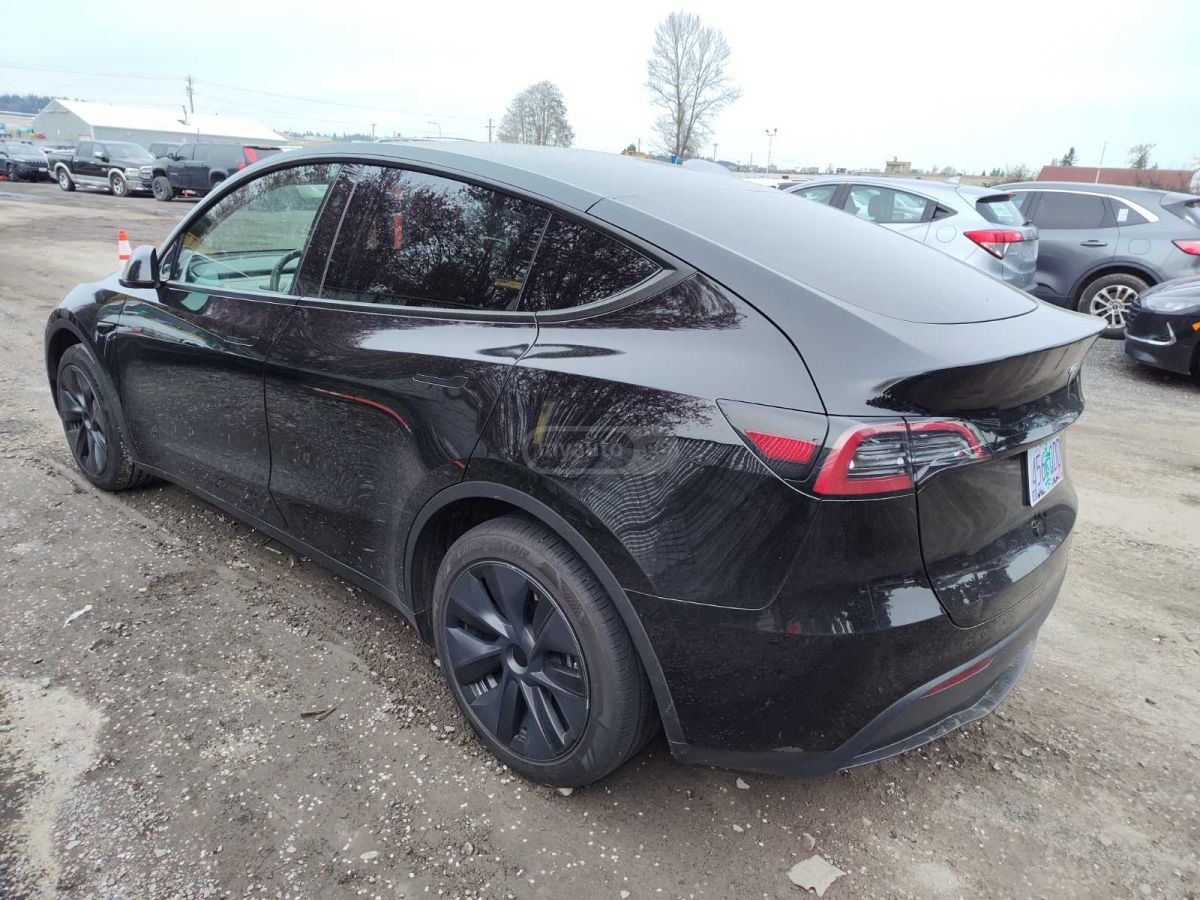 Tesla DUAL MOTOR LONG RANGE — миниатюра 3