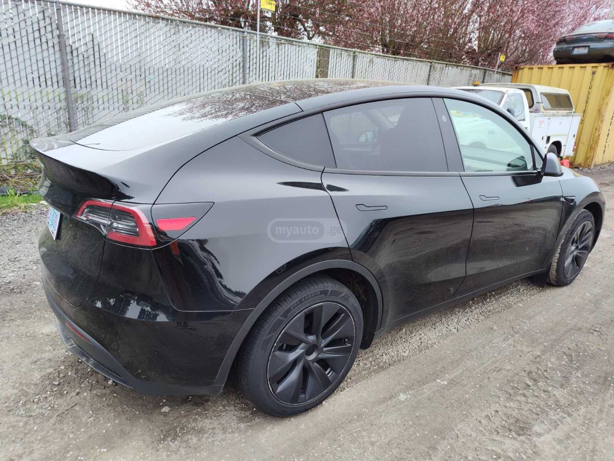 Tesla DUAL MOTOR LONG RANGE — миниатюра 4