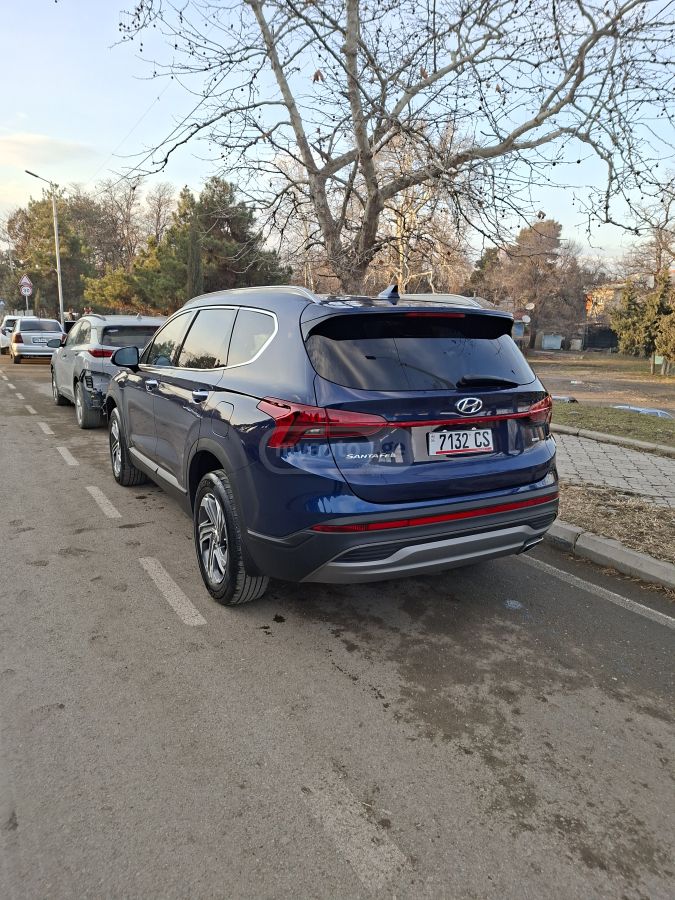 Hyundai Santa FE - фото 5