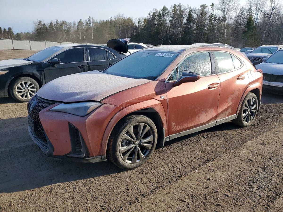 Lexus UX 250 h 2025 — миниатюра 1