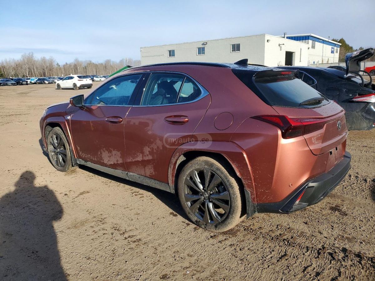 Lexus UX 250 h 2025 — миниатюра 2