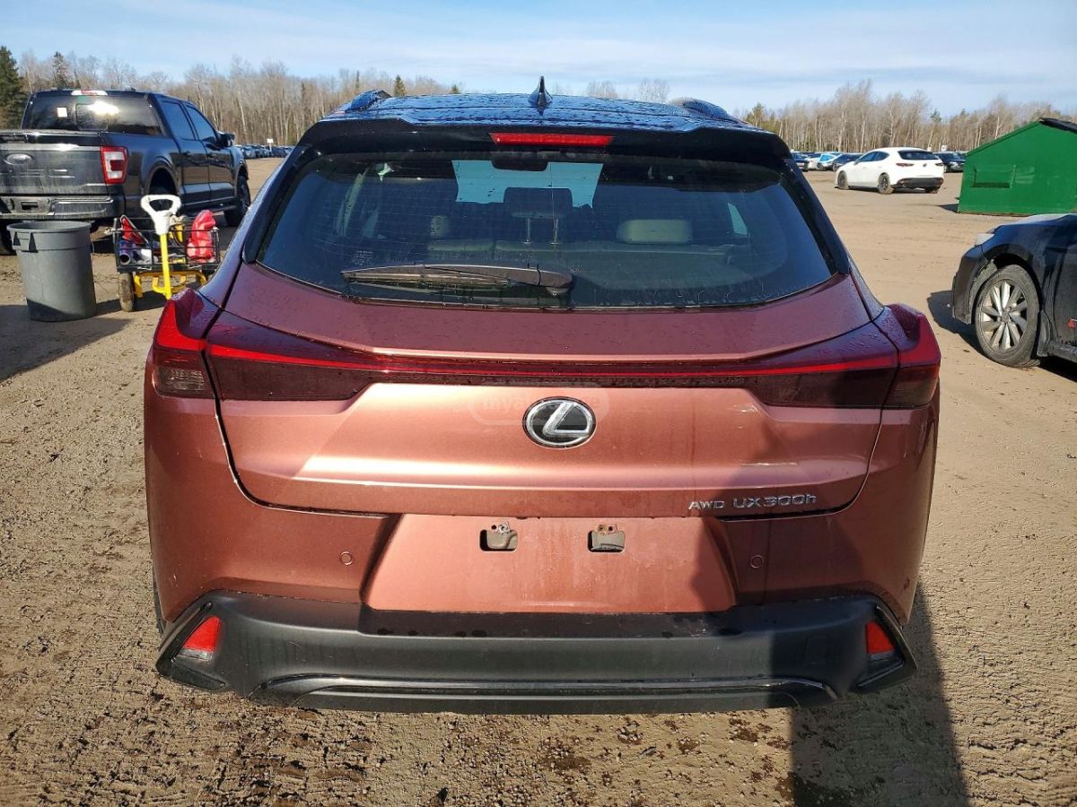 Lexus UX 250 h 2025 — миниатюра 6