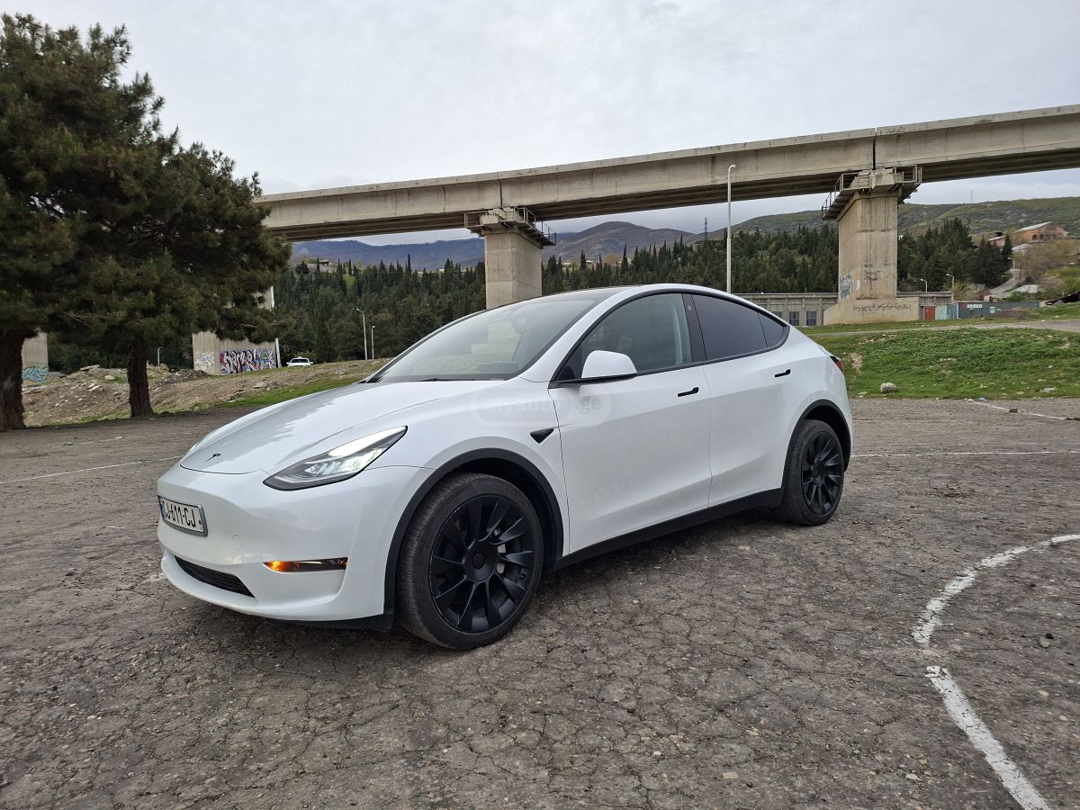 Tesla Model Y - фото 1
