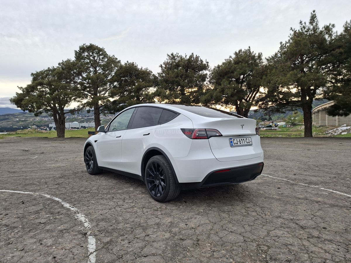 Tesla Model Y - фото 6