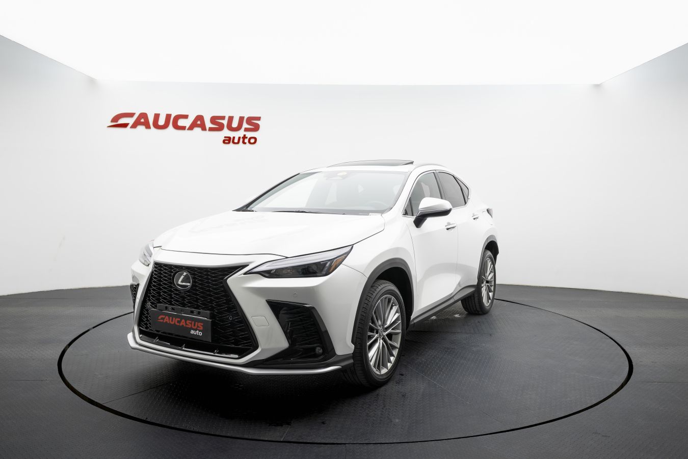 Lexus Lexus NX — миниатюра 1