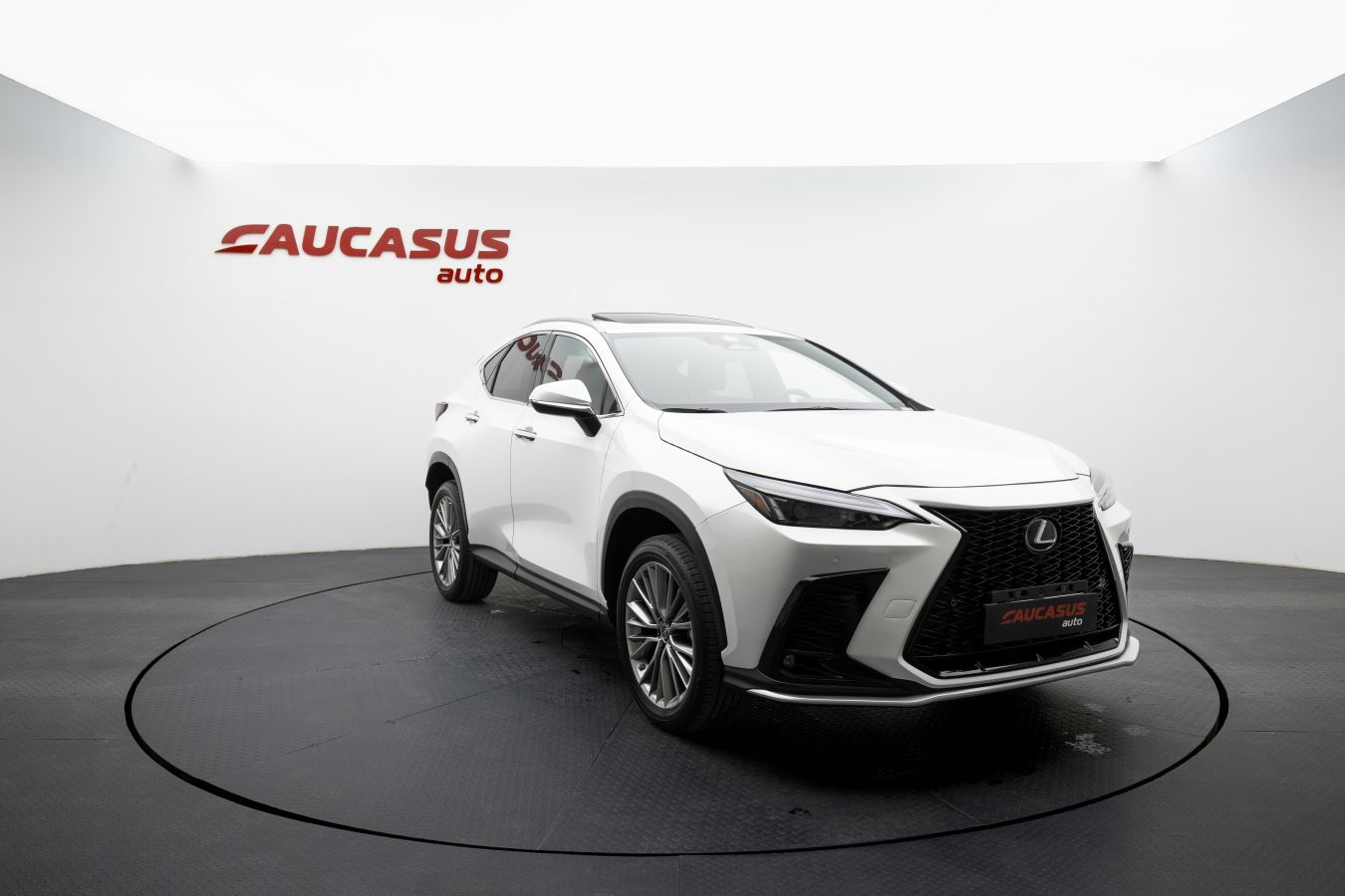 Lexus Lexus NX — миниатюра 3