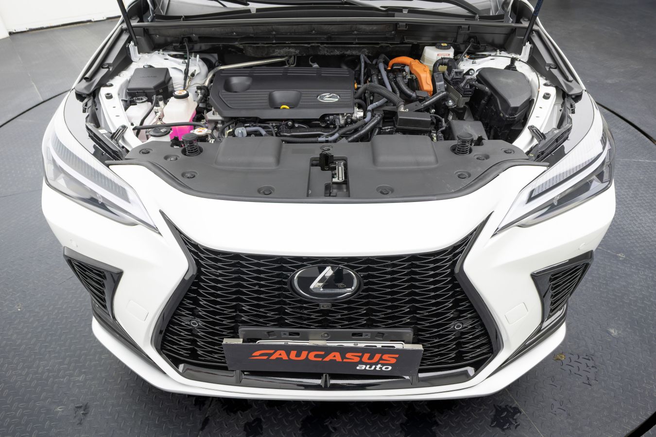 Lexus Lexus NX — миниатюра 7