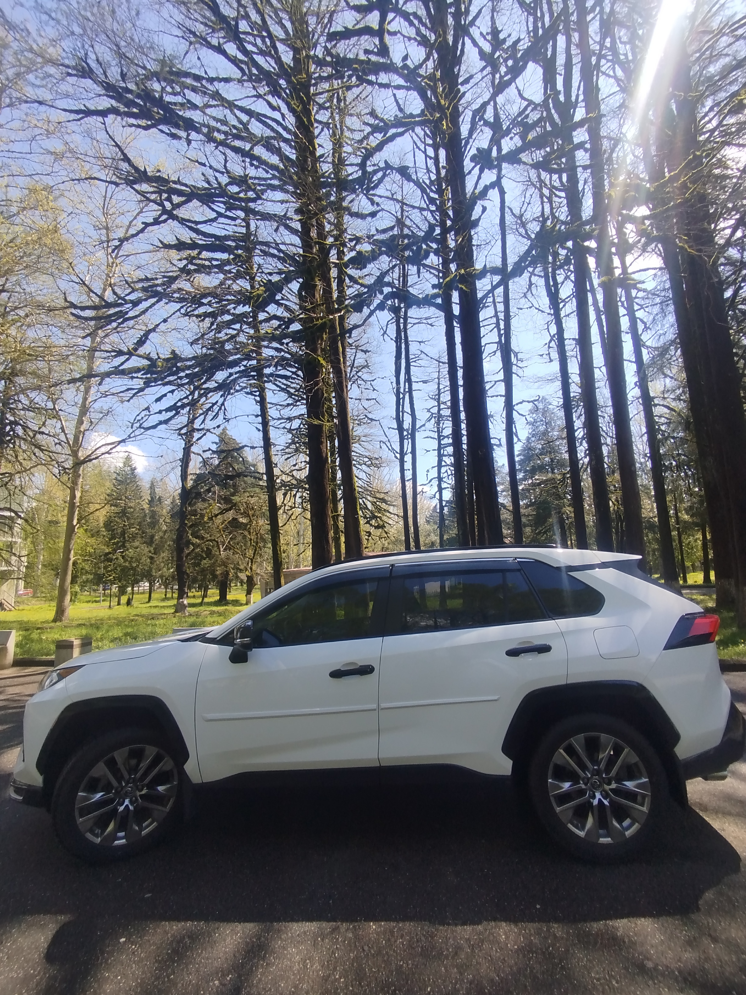 Toyota RAV 4 - фото 3