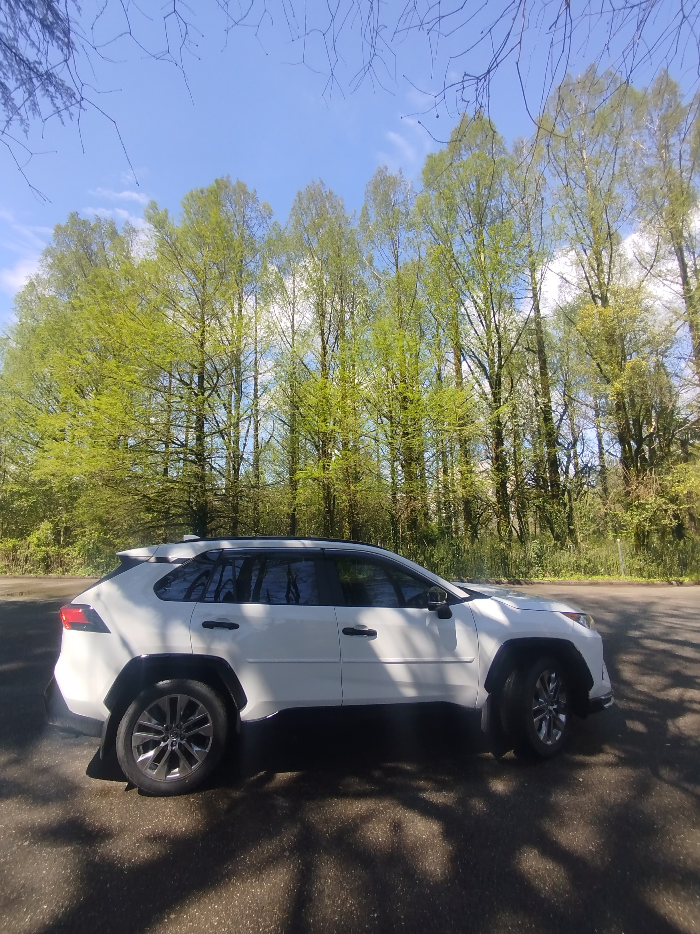 Toyota RAV 4 - фото 5