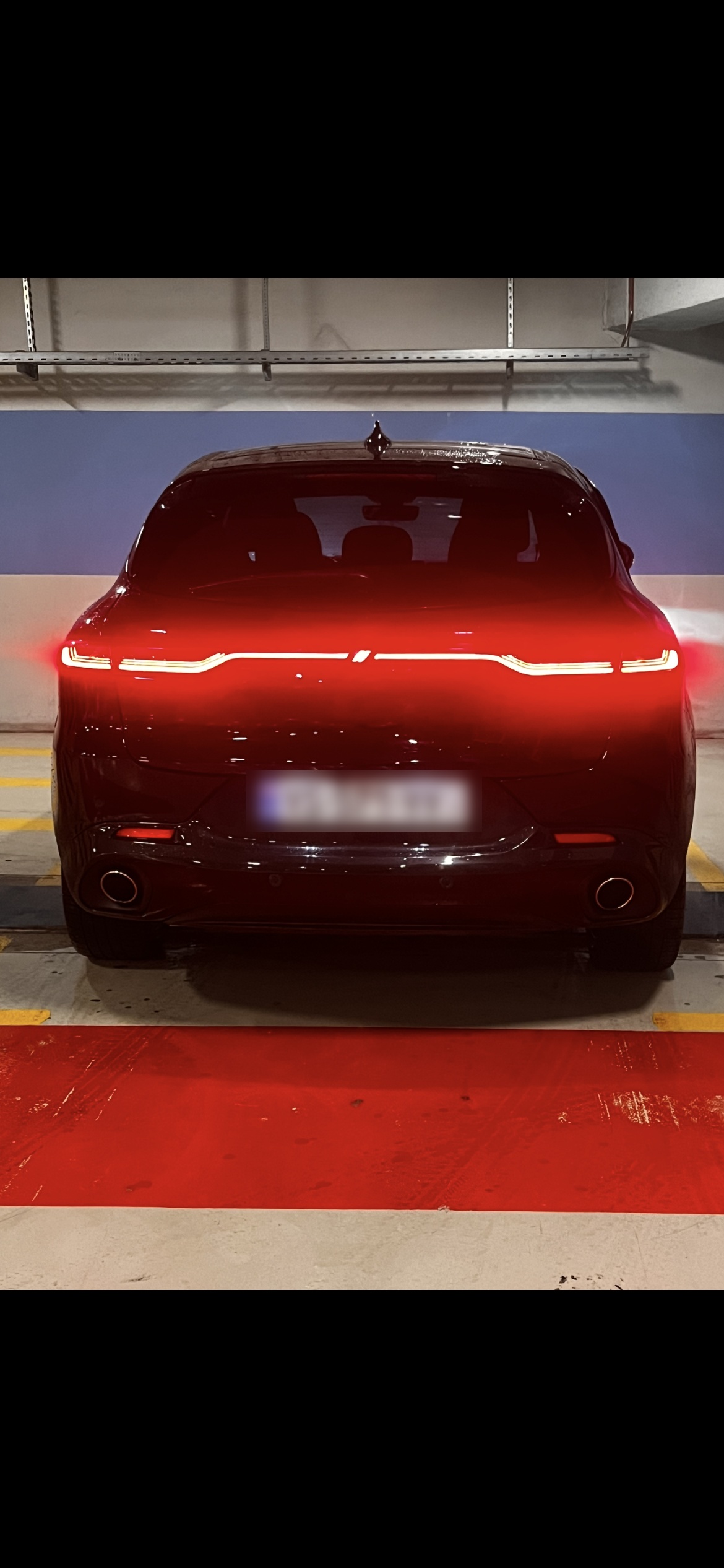 Dodge Hornet 2024 — миниатюра 12