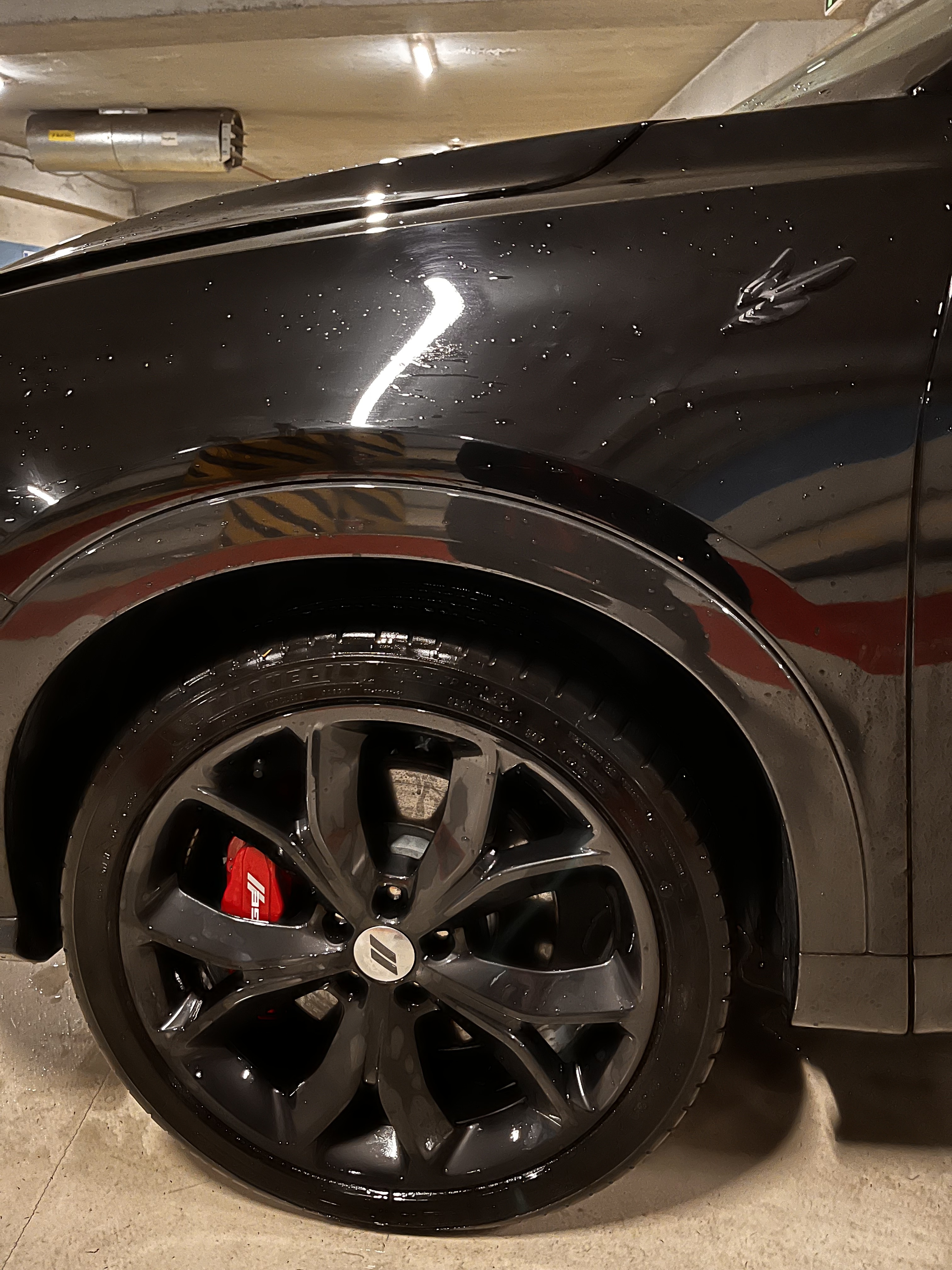 Dodge Hornet 2024 — миниатюра 14