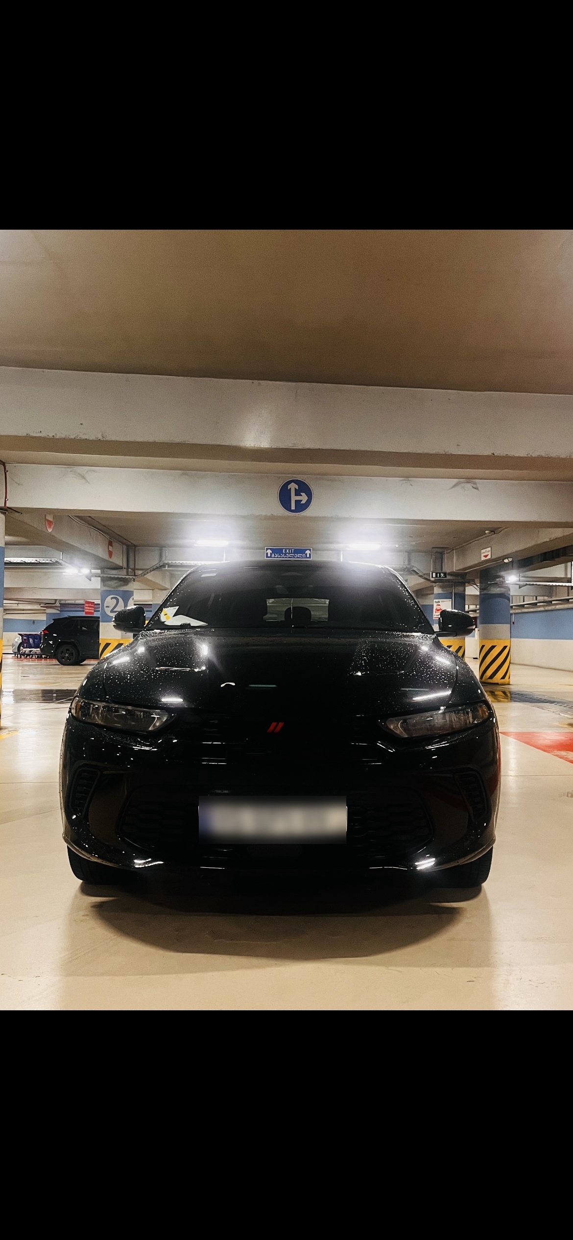 Dodge Hornet 2024 — миниатюра 2