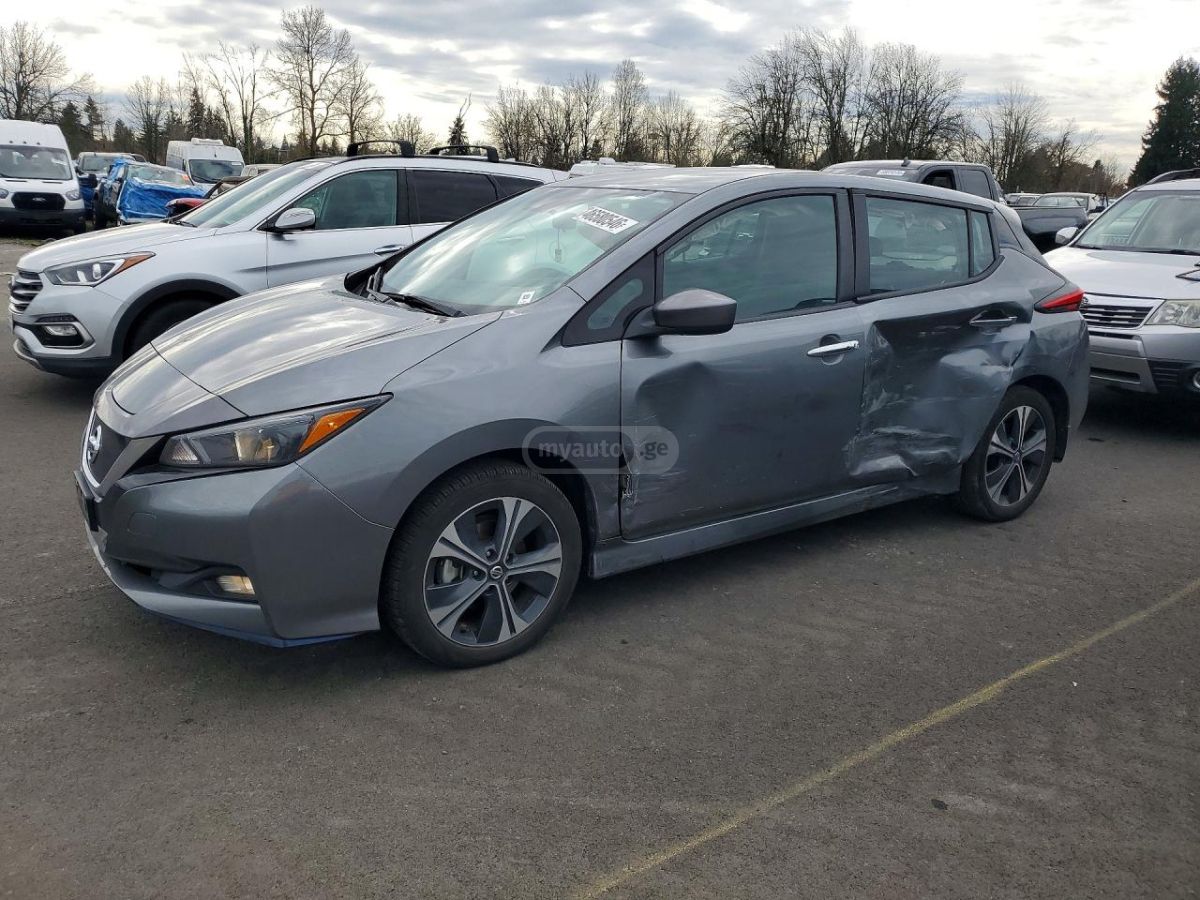 Nissan Leaf - фото 1