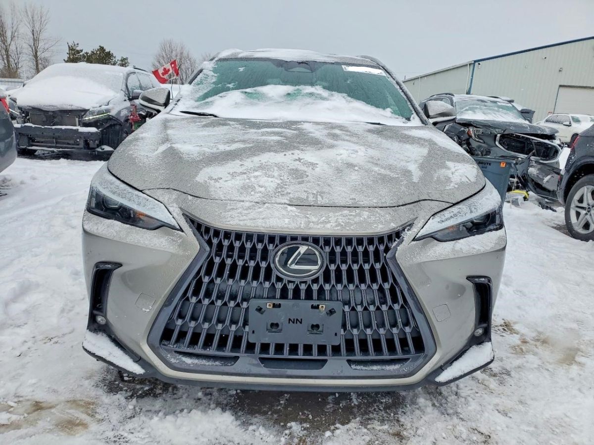 Lexus NX 350 2025 — миниатюра 1
