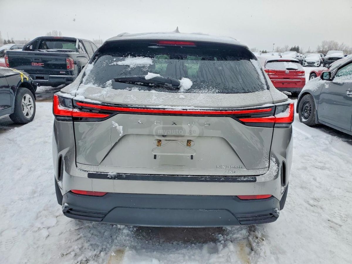 Lexus NX 350 2025 — миниатюра 2