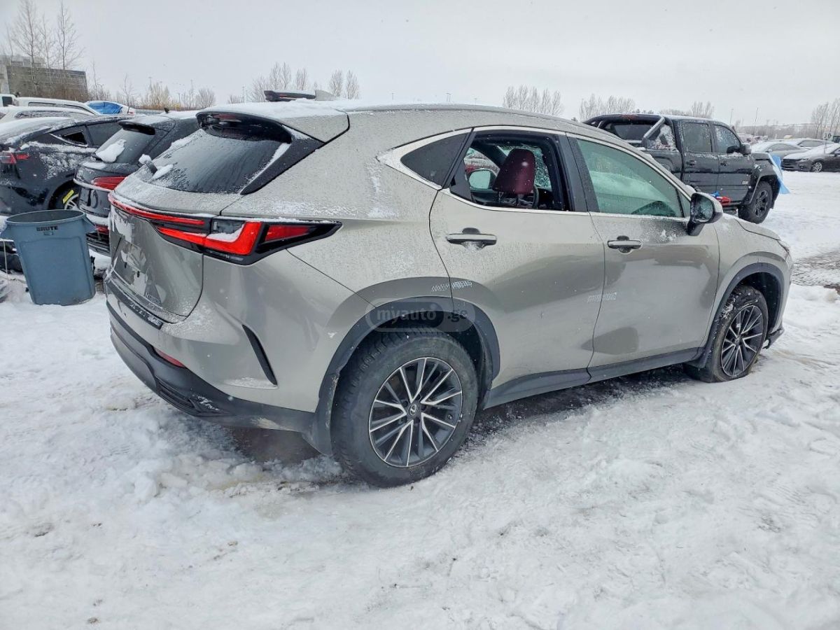 Lexus NX 350 2025 — миниатюра 3