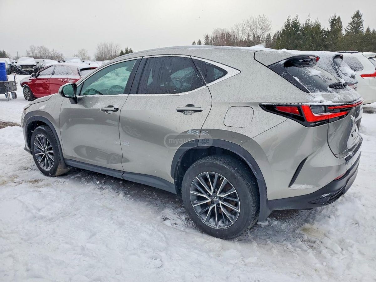 Lexus NX 350 2025 — миниатюра 4
