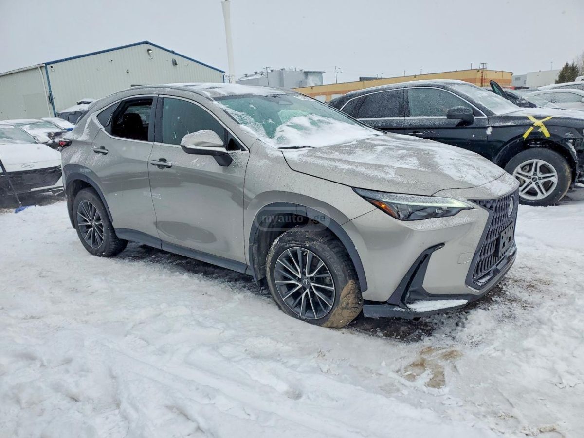 Lexus NX 350 2025 — миниатюра 5