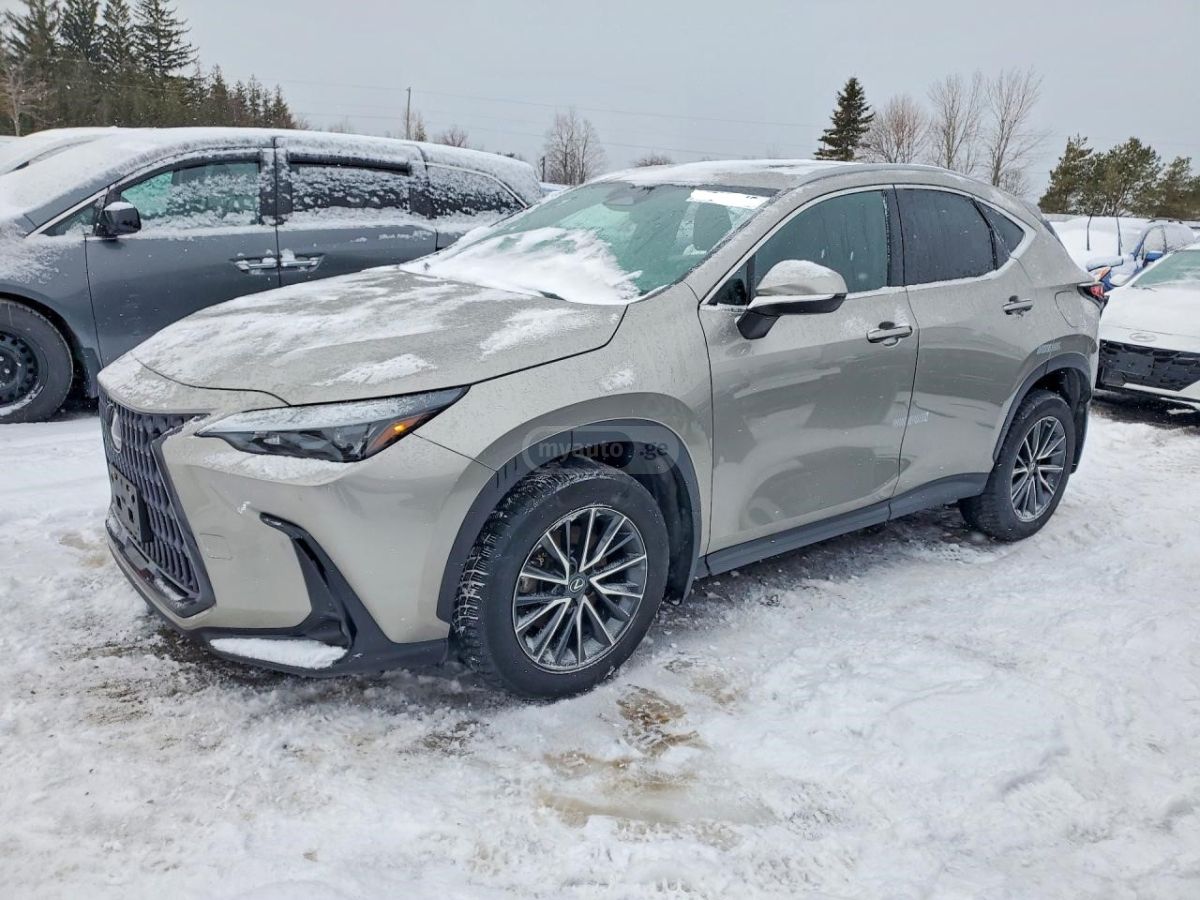 Lexus NX 350 2025 — миниатюра 6