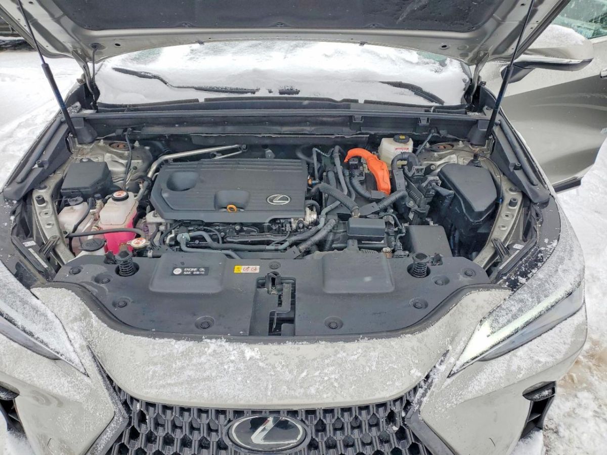 Lexus NX 350 2025 — миниатюра 7