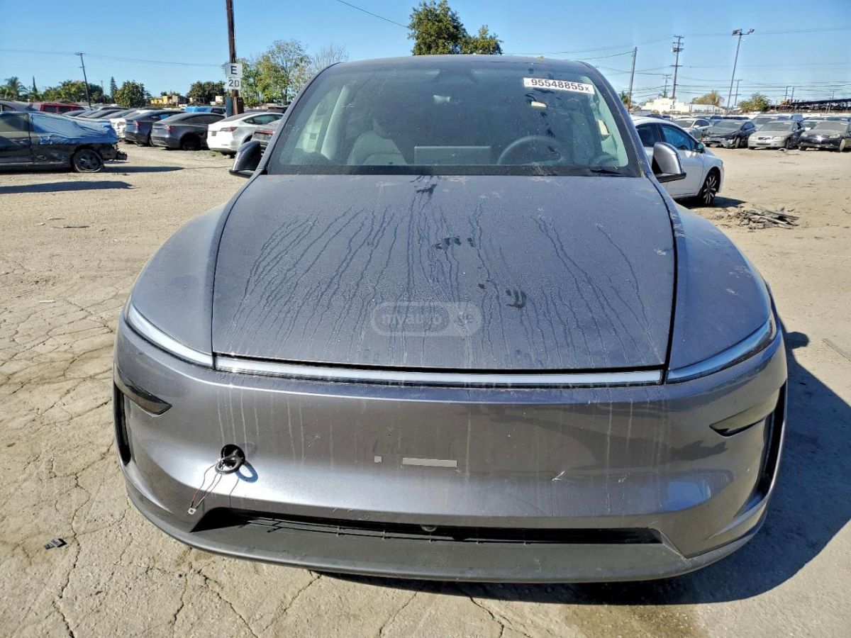 Tesla Model Y - фото 1