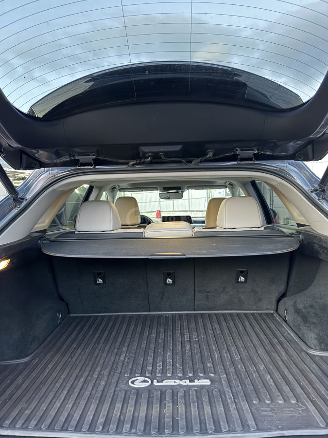 Lexus RX 350 - фото 10