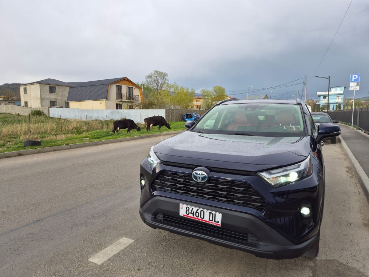 Toyota RAV 4 - фото 7
