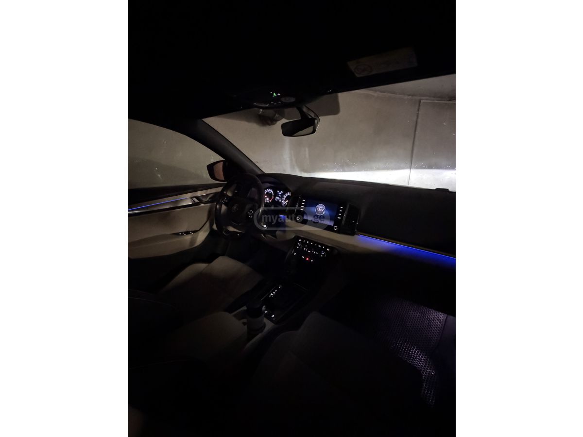 Skoda Karoq - фото 9